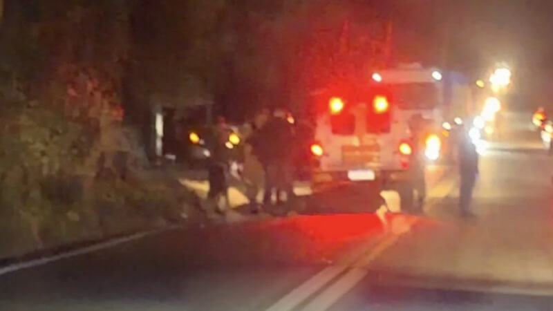Animal de grande porte é atropelado na MG-424 em Matozinhos